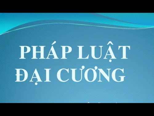 Pháp luật đại cương, Luật kinh tế